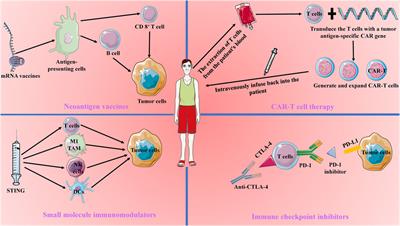 Nanomaterial-based cancer immunotherapy: enhancing treatment strategies